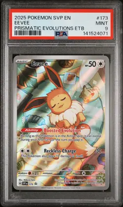 2025 POKEMON SVP EN-SV BLACK STAR PROMO #173 EEVEE PSA 9 - Image 1