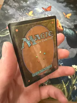 Wort, Boggart Auntie | Magic MTG | Lorwyn | 252/301 | LP Foil | LK 008 - Image 2