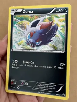 Pokemon Zorua BW12 Black & White Star Promo Holo Card - Image 4