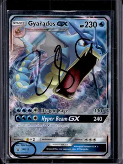 2016-19 Pokemon SM Black Star Promos Gyarados #SM212 - Image 1