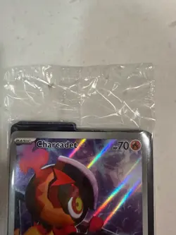 Charcadet 022 SV03: Obsidian Flames Promo Holo Pokemon TCG Basic Fire Card 2023 - Image 2
