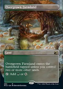 Overgrown Farmland (Borderless) - Innistrad: Midnight Hunt (MID) - Image 1
