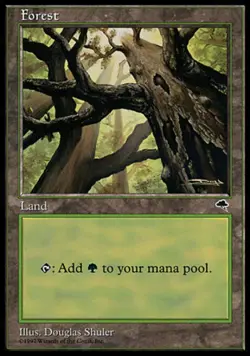 Forest (308)~~LP~Tempest~MTG - Image 1