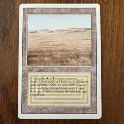 Magic: The Gathering Savannah Revised Edition Land Rare Regular Card - Image 1