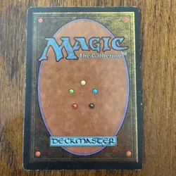 Magic: The Gathering Savannah Revised Edition Land Rare Regular Card - Image 2