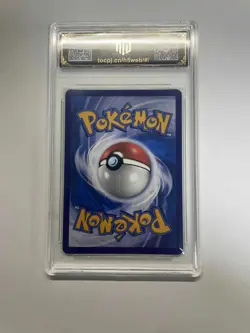 2023 Pokemon CHN Pikachu V CSDC 019/024 TOC10 China Exclusive Holo TCG Card VB16 - Image 2