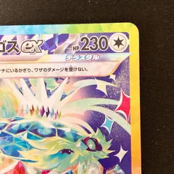 Terapagos ex SAR 226/187 Terastal Festival sv8a Pokemon Card Japanese #30343 - Image 4