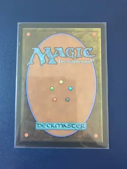 MTG Island (255) | NM | Secret Lair The Full-Text Lands {SLD} - Image 2