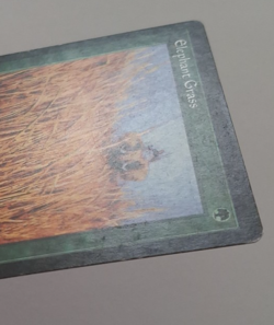 Elephant Grass MP / HP MTG Magic the Gathering Visions - Image 3
