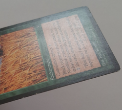 Elephant Grass MP / HP MTG Magic the Gathering Visions - Image 4