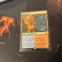 Mtg Steam Vents - Lorwyn Eclipsed + Bonus Foils - Image 5