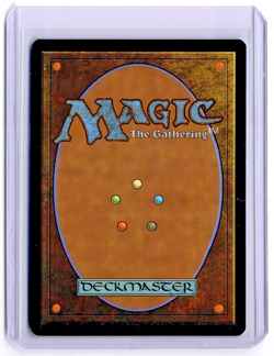 Adarkar Wastes Borderless 377 M / NM Dominaria United Regular MTG Unplayed - Image 2