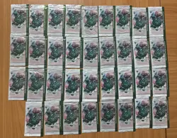 X35 - Bloomburrow Collector Booster Sample Pack Magic The Gathering MTG Sealed - Image 1