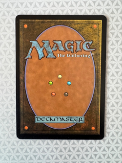 MTG Magic the Gathering Torment FOIL Equal Treatment LP - Image 3