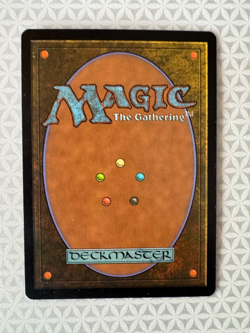 MTG Sungrass Prairie Odyssey Magic the Gathering Rare LP - Image 2