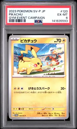 2023 POKEMON JPN SV-P PROMO GYM EVENT CAMPAIGN #120 PIKACHU PSA 6 - Image 1