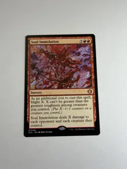 Soul Immolation NM Lorwyn Eclipsed Magic The Gathering Mtg Near Mint - Image 1