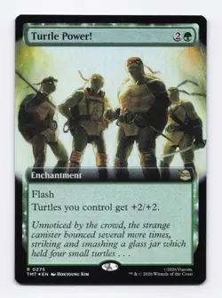 Turtle Power! (Extended Art Foil) 275 (R) MTG Teenage Mutant Ninja Turtles (TMT) - Image 1