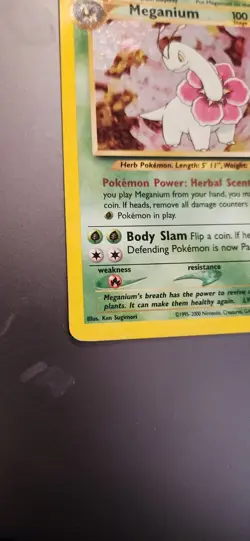 Meganium 10/111 Neo Genesis Unlimited Holo Rare MP Pokemon Tcg - Image 2