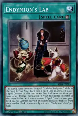 SR08-EN023 ENDYMION'S LAB COMMON 1ST EDITION YuGiOh CARD - Image 1