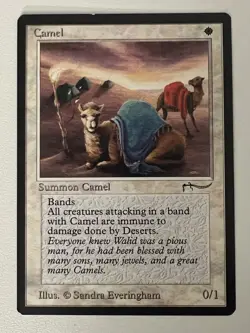 Magic the Gathering MTG Arabian Nights Camel MP (Beta Bob) - Image 1
