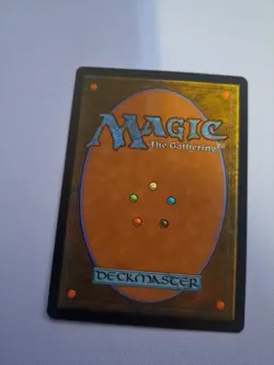 MTG: Scroll Rack (LP): Tempest - Image 2