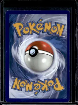 2019-2023 Pokemon SWSH Black Star Promos Toxel #SWSH209 - Image 2