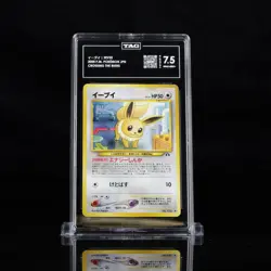 Pokemon Eevee Crossing The Ruins Japanese 2000 TAG 7.5 - Image 1