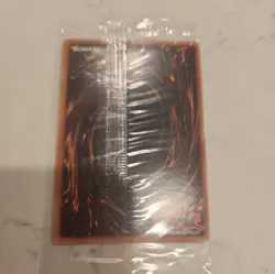 YUGIOH DARK PALADIN DMG-001 Secret Rare Promo FACTORY SEALED LIMITED EDITION - Image 2