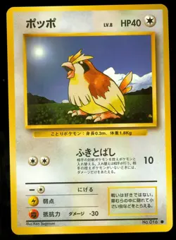 Pokemon PIDGEY #016 - Japanese Base Set - - NEAR MINT/MINT - Image 1