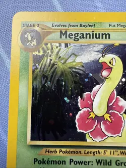 Meganium Neo Genesis Holo Rare #11/111 VINTAGE 2000 Pokemon TCG - Image 4