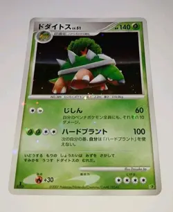 Vintage TORTERRA 1st EDITION DP Entry Pack Full Holo Pokemon 🌟 NM 🌟 2007 Card - Image 1