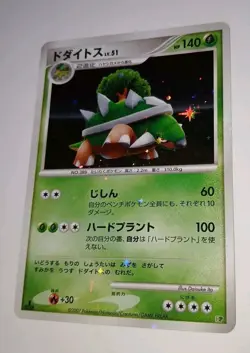 Vintage TORTERRA 1st EDITION DP Entry Pack Full Holo Pokemon 🌟 NM 🌟 2007 Card - Image 3