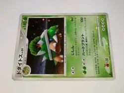 Vintage TORTERRA 1st EDITION DP Entry Pack Full Holo Pokemon 🌟 NM 🌟 2007 Card - Image 4