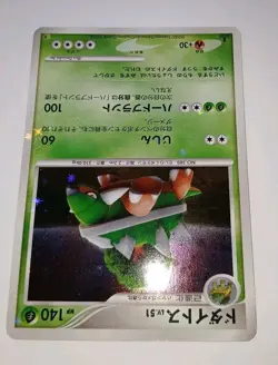Vintage TORTERRA 1st EDITION DP Entry Pack Full Holo Pokemon 🌟 NM 🌟 2007 Card - Image 5