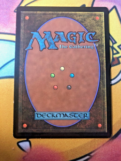 Coat of Arms: Magic The Gathering (The List Reprints, Lightly Played Non-Foil) - Image 4