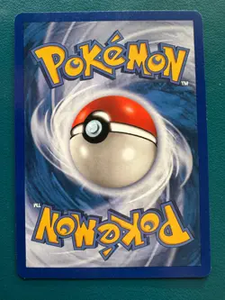 Ruby and Sapphire Zigzazoon - Common/Uncommon Pokemon Card - NM - Image 2