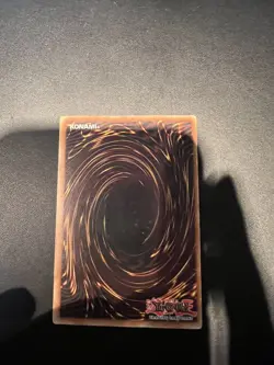 Yugioh Dark Paladin DMG-001 Limited Edition Secret Rare - LP - Image 2