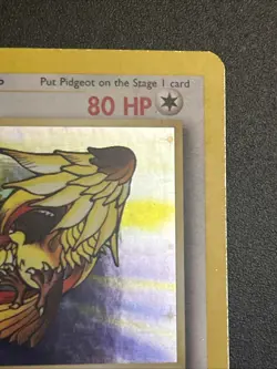 Pidgeot 08/64 - Holo Rare Card - Jungle - Pokemon TCG SET BREAK - Image 3