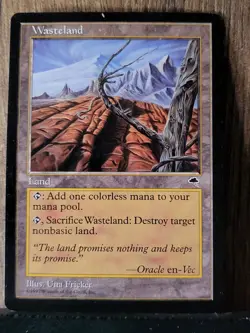 Wasteland Tempest MTG - Image 1
