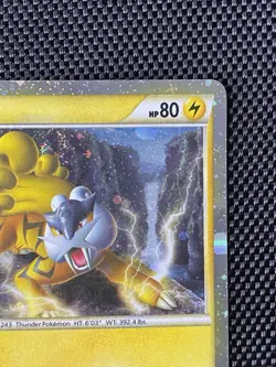 Raikou HGSS19 Black Star Promo Pokemon English 2010 LP+ - Image 3