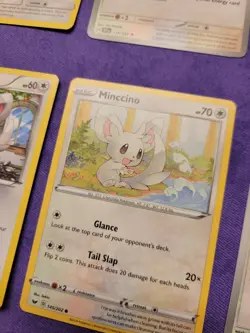 Pokemon Minccino Cinccino 8 Cards Collection Set Nm/Lp English - Image 4