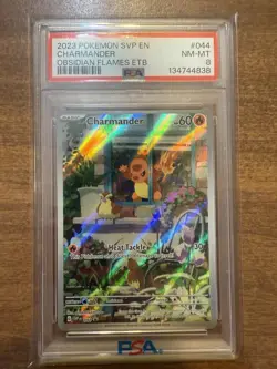2023 POKEMON SVP EN CHARMANDER OBSIDIAN FLAMES ETB PSA 8 NM-MT!! - Image 1
