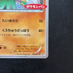 Hawlucha 065/XY-P Pokemon Daiichi Pan Promo 2015 Japanese Card Nintendo Japan - Image 5