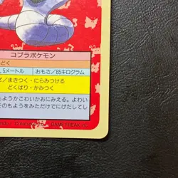 Arbok No. 024 Topsun Blue back Japanese Pokemon Card Nintendo From Japan - Image 5