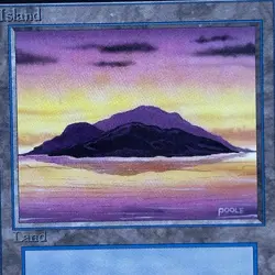 MTG Beta Island (1993) — Mark Poole — Vintage Black Border - Image 4