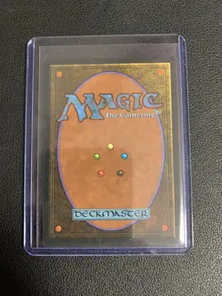 MTG Mystic Remora Ice Age Regular Common (MTG570) - Image 2