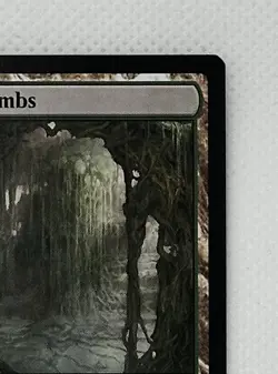 Magic: The Gathering Verdant Catacombs Non-foil Modern Horizons 2 NM - Image 5