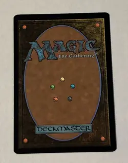 MTG Bedrock Tortoise - The Lost Caverns of Ixalan LP - Image 2