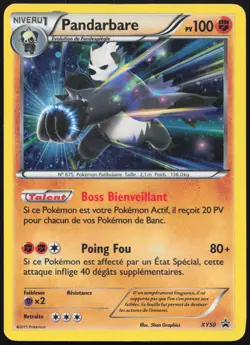 Carte Pokemon Pandarbare XY50 Holo Promo XY Francais - Image 1